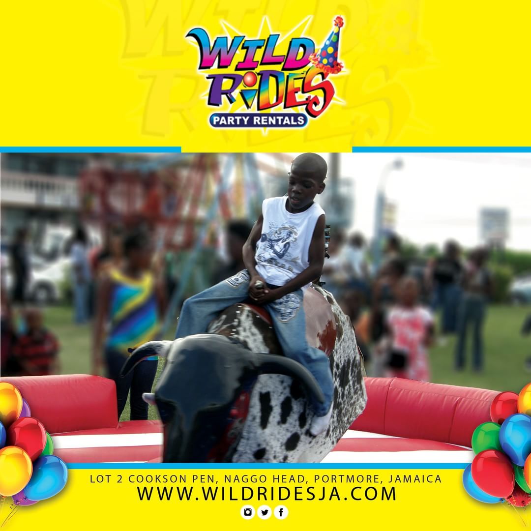 Can you tame the bull? thekidinme wildridesja Packages Tailored to