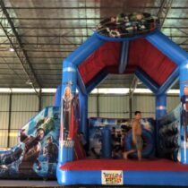 Wild Rides Party Rentals ≡ Product 22